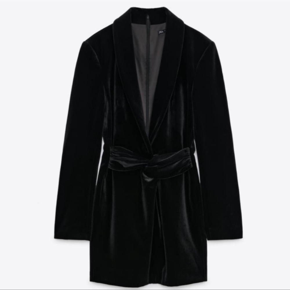 NWT Zara Velvet Dress